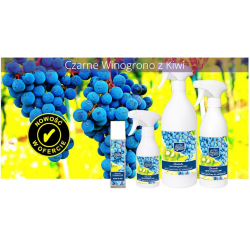 Kala CHANTI - odświeżacz powietrza 100ml, atomizer / winogrono z kiwi