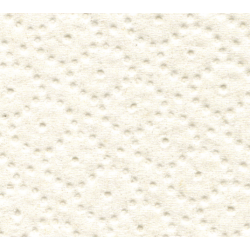 Ręcznik w roli Wepa SATINO PRESTIGE 220m., AutoCut #317830, biały, celuloza, 2w. / 1 rolka